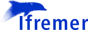 Foen Agency - Conseil et accompagnement en stratégie environnementale et sociale