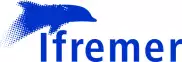 Foen Agency - Conseil et accompagnement en stratégie environnementale et sociale