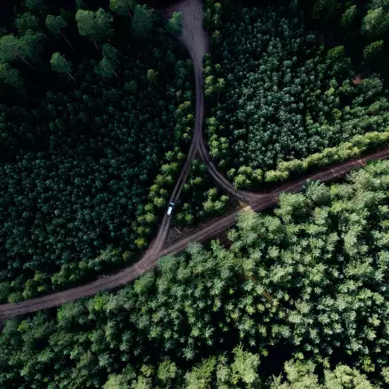 Foen Agency - Conseil et accompagnement en stratégie environnementale et sociale