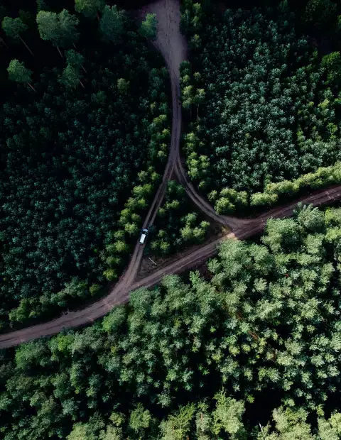Foen Agency - Conseil et accompagnement en stratégie environnementale et sociale